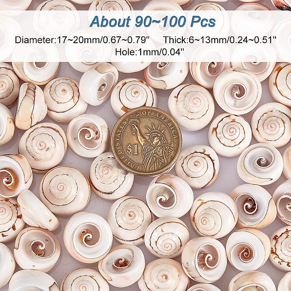 

PandaHall Natural Shiva Eye Shell Beads, PapayaWhip, 17~20x6~13mm, Hole: 1mm, about 75~80pcs/box Shiva Eye Shell Others Orange