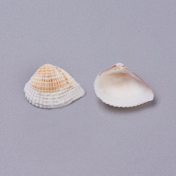 

PandaHall Natural Shell Beads, Undrilled/No Hole Beads, 20~35x20~35mm, 500g/bag Other Sea Shell Shell Shape