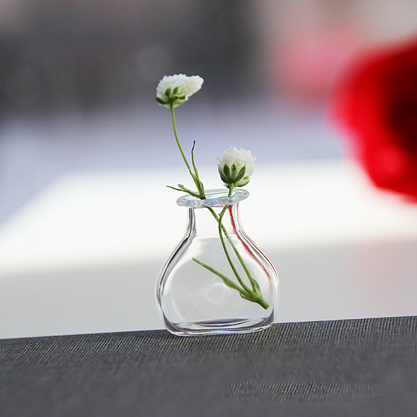 

PandaHall Transparent Miniature Glass Vase Bottles, Micro Landscape Garden Dollhouse Accessories, Photography Props Decorations, Clear...