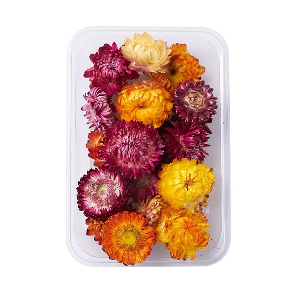 

PandaHall Dried Flowers, DIY Candle Soap Making Accessories, with Plastic Rectangle Box, Mixed Color, Mixed Color, 2.1~4x2.7~4.4cm Dried..., Multicolor