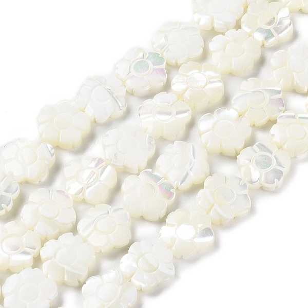 

PandaHall Natural Trochus Shell Beads Strands, Flower, Floral White, 12x12.5x3mm, Hole: 0.8mm, about 33pcs/strand, 15.75''(40cm) Trochus...