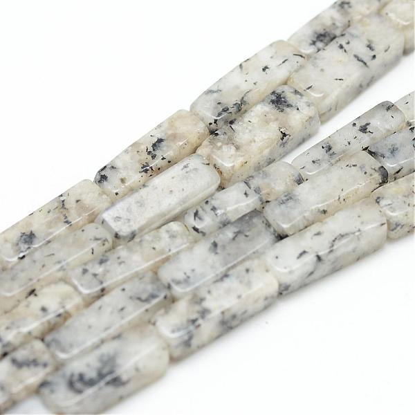 

PandaHall Natural Sesame Jasper/Kiwi Jasper Bead Strands, Cuboid, 13~14x4~5x4~5mm, Hole: 1mm, about 29~31pcs/strand, 15.3 inch Sesame Jasper...