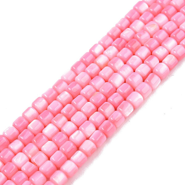 

PandaHall Natural Freshwater Shell Beads Strands, Dyed, Column, Pink, 3.5x3.5mm, Hole: 0.8mm, about 110~113pcs/strand, 14.69 inch~15.08 inch...