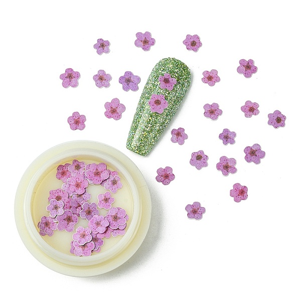

PandaHall Paper Cabochons, Nail Art Decorations, Flower, Violet, 5~7x5~7x0.1mm, 50pcs/box Paper Flower Purple