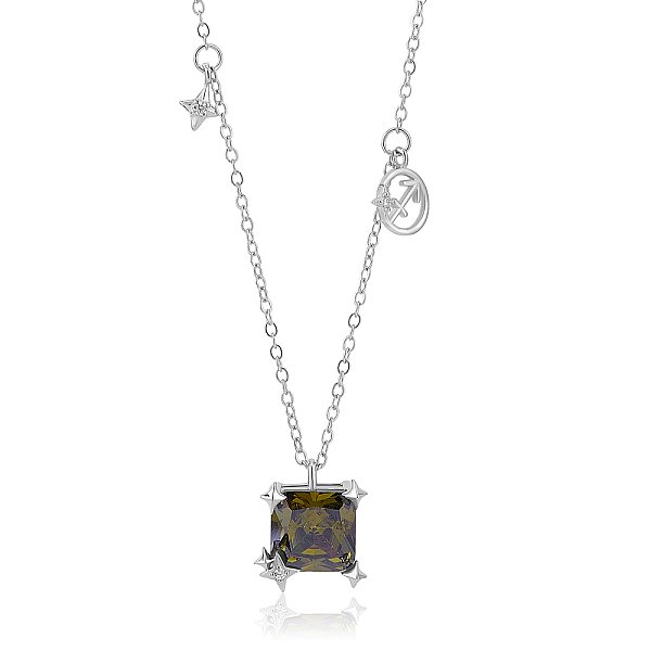 

PandaHall 925 Sterling Silver Zircon Pendant Necklace 12 Constellation Pendant Necklace Jewelry Anniversary Birthday Gifts for Women Men..., Green