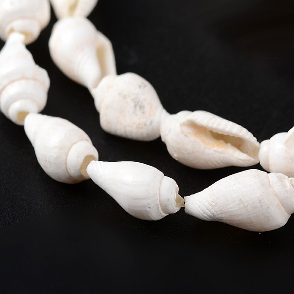 Natural Sea Shell Conch Bead Strands