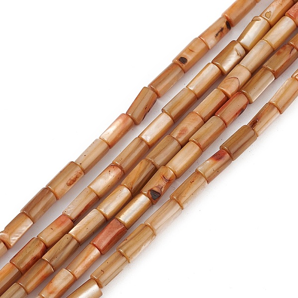 

PandaHall Natural Freshwater Shell Dyed Beads Strands, Column, Dark Goldenrod, 8x4mm, Hole: 0.8mm, about 46pcs/strand, 14.96''(38cm)...
