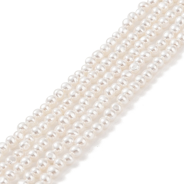 

PandaHall Electroplated Shell Pearl Beads Strands, Potato, Antique White, 3.5x3~3.5mm, Hole: 1mm, about 127pcs/strand, 16.14 inch(41cm)...