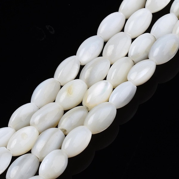 Freshwater Shell Be… - image