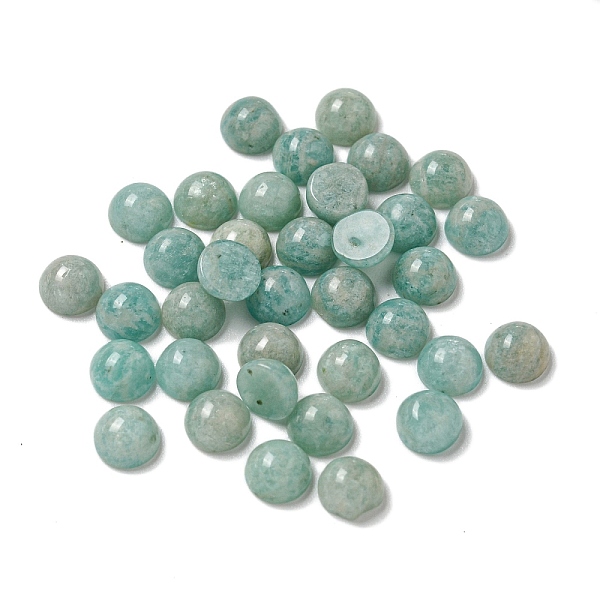 

PandaHall Natural Amazonite Cabochons, Half Round, 5x2.5mm Amazonite Half Round