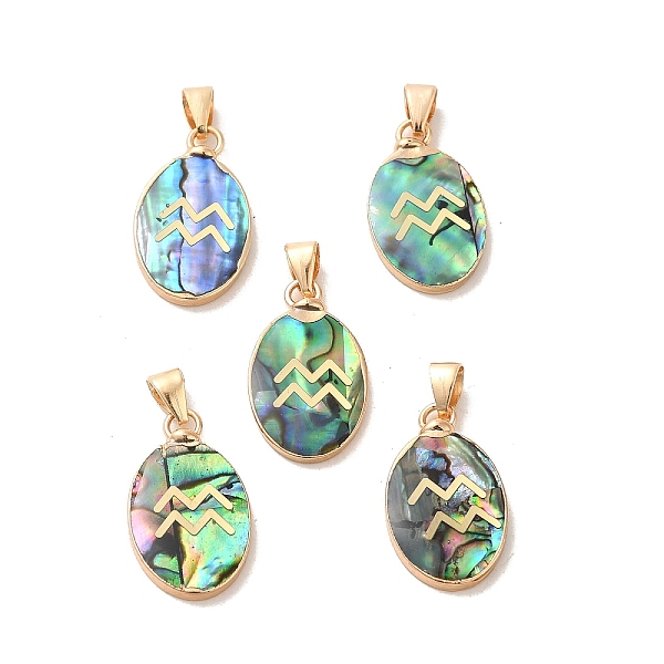 

PandaHall Constellation Natural Paua Shell Pendants, Golden Tone Brass Oval Charms, Aquarius, 22x13x3~3.5mm, Hole: 6x3mm Paua Shell Aquarius