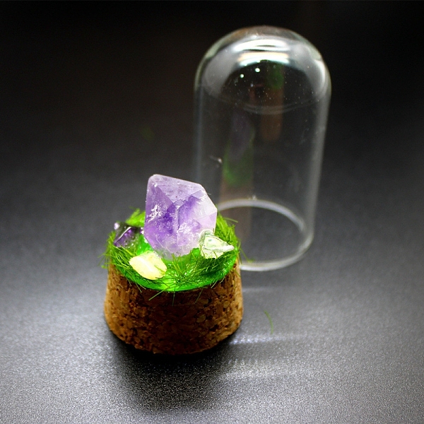 

PandaHall Raw Nuggets Natural Amethyst Specimen Display Decorations, Cork & Glass Arch Bell Jar for Micro Landscape Home Decorations...