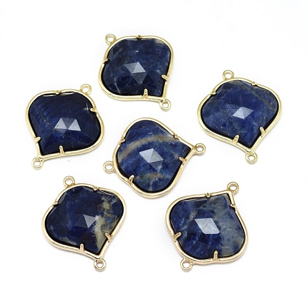 

PandaHall Natural Sodalite Links connectors, with Golden Tone Brass Findings, Faceted, 26x21.5x5.5mm, Hole: 1.5~1.6mm Sodalite Others
