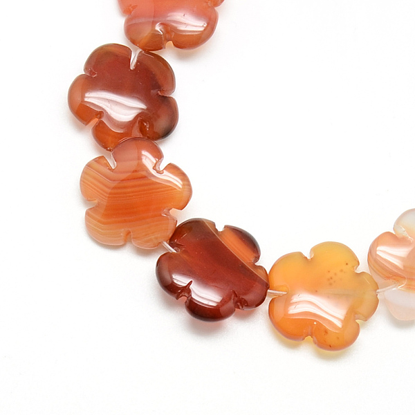 

PandaHall Dyed Natural Red Agate Bead Strands, Flower, 15.5~16x16x6mm, Hole: 1mm, about 25pcs/strand, 15.1 inch Red Agate Flower