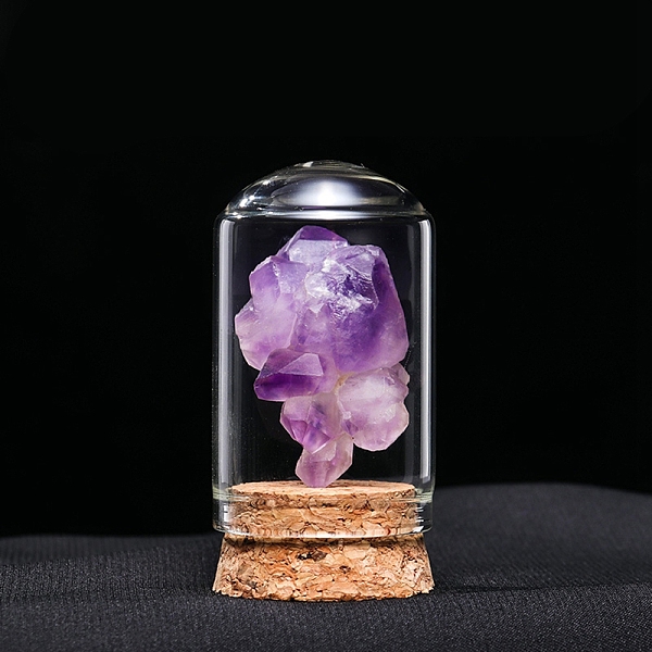 

PandaHall Raw Natural Amethyst Nuggets Ornaments, Glass & Wood Bell Jars Mineral Specimens Statues for Home Desktop Feng Shui Decoration...