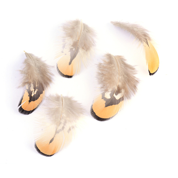 

PandaHall Chicken Feather Costume Accessories, Dyed, Sandy Brown, 45~105x10~30mm Feather Feather Brown