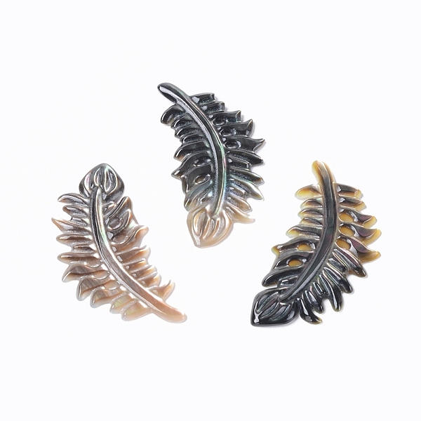 

PandaHall Natural Black Lip Shell Cabochons, Feather, 41x20x2mm Black Lip Shell Feather