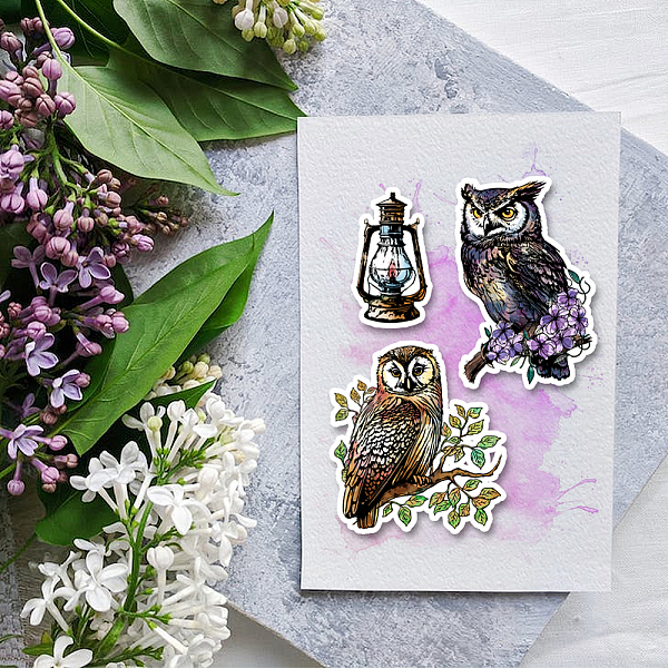

PandaHall GLOBLELAND Owl Clear Stamps Owl Decorative Clear Stamps Silicone Stamps Seals for Card Making and Photo Album Decor Decoration and...