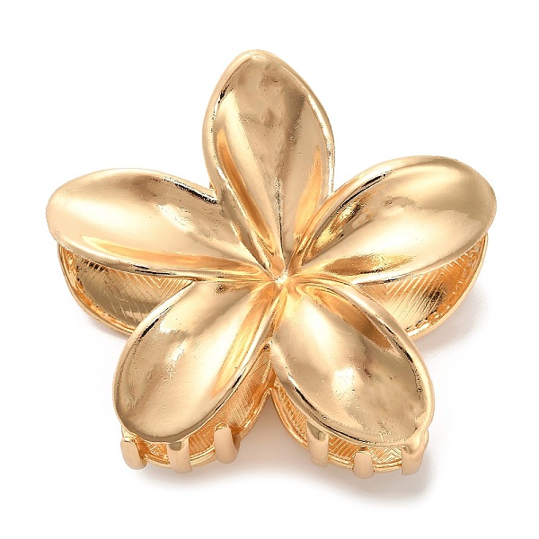Alloy Claw Hair Cli… - image