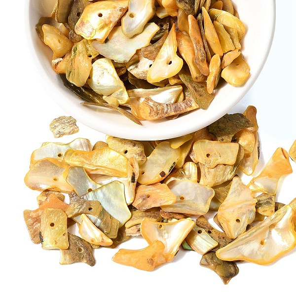 Dyed Natural Mother of Pearl Shell Nuggets Chips Beads