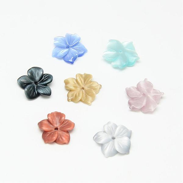 

PandaHall Cat Eye Beads, Flower, Mixed Color, 14~15x15~16x3~4mm, Hole: 1mm Glass Flower Multicolor