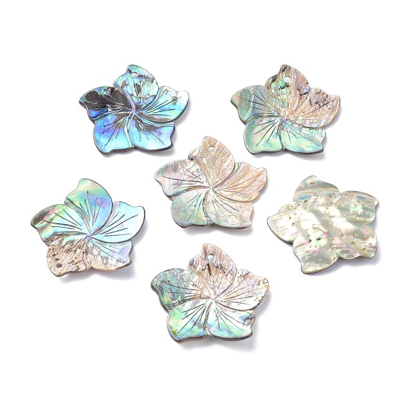 

PandaHall Natural Abalone Shell/Paua Shell Pendants, Flower, 34x35x1.5~3mm, Hole: 1.8mm Paua Shell Flower