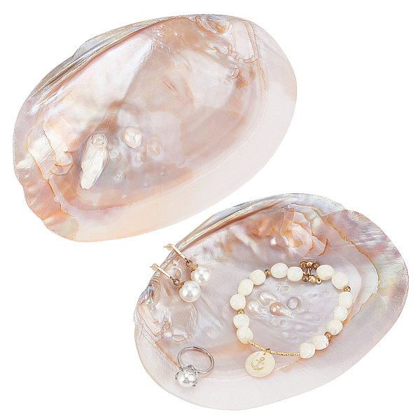 

PandaHall 2 Pcs Natrual Shell Jewelry Dish Tray, Handcrafted Trinket Displays Dish Stand Decorative Seashell Bracelet Pendant Ring...