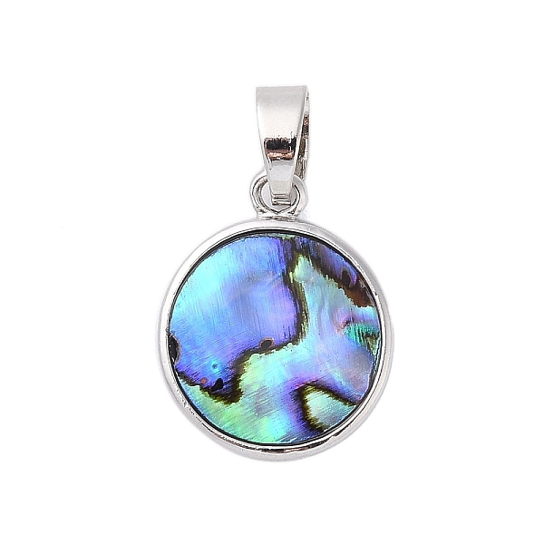 

PandaHall Rack Plating Natural Paua Shell Pendants, Flat Round Brass Charms, Long-Lasting Plated, Platinum, 21.5x17x3mm, Hole: 4x7mm Paua...