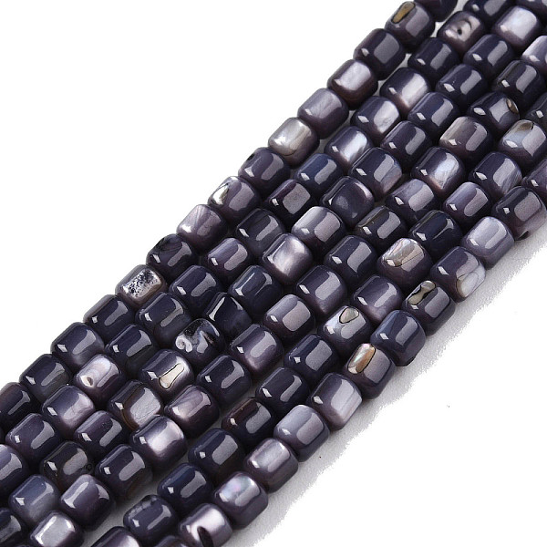 

PandaHall Natural Freshwater Shell Beads Strands, Dyed, Column, Dark Slate Blue, 3.5x3.5mm, Hole: 0.8mm, about 110~113pcs/strand, 14.69...