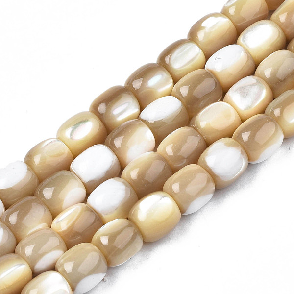 

PandaHall Natural Trochid Shell/Trochus Beads Strands, Barrel, 8x7.5mm, Hole: 1mm, about 50pcs/strand, 15.75 inch(40cm) Trochus Shell Barrel