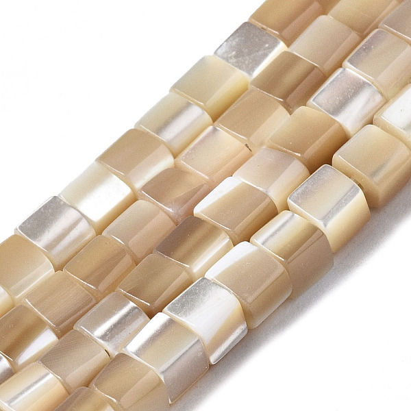 

PandaHall Natural Trochid Shell/Trochus Shell Beads Strands, Cube, BurlyWood, 3x3x3mm, Hole: 0.7mm, about 126~127pcs/strand, 15.75 inch..., Orange