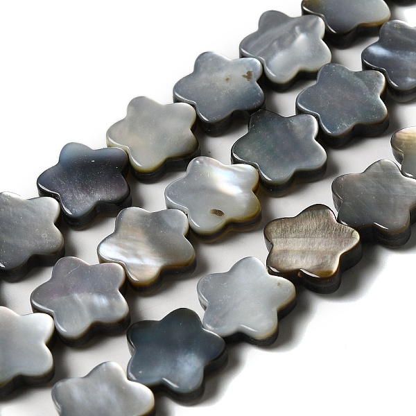 

PandaHall Natural Black Lip Shell Beads Strands, Plum Blossom, Flower, 12x12x3mm, Hole: 1mm, about 33pcs/strand, 14.57''(37cm) Black Lip..., Gray