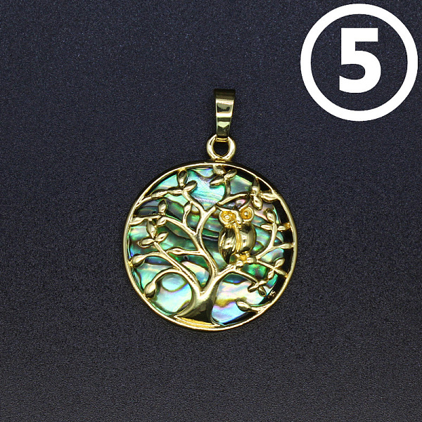

PandaHall Natural Abalone Shell/Paua Shell Pendants, Flat Round Charms, Tree of Life, 31x27mm Paua Shell Tree of Life