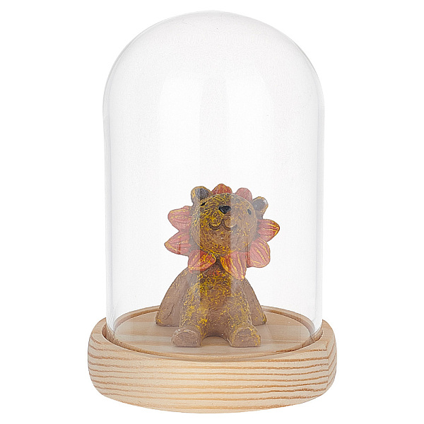

PandaHall Glass Dome Cover, Decorative Display Case, Cloche Bell Jar Terrarium with Wood Base, Arch, Clear, 84x91mm Glass Arch Clear