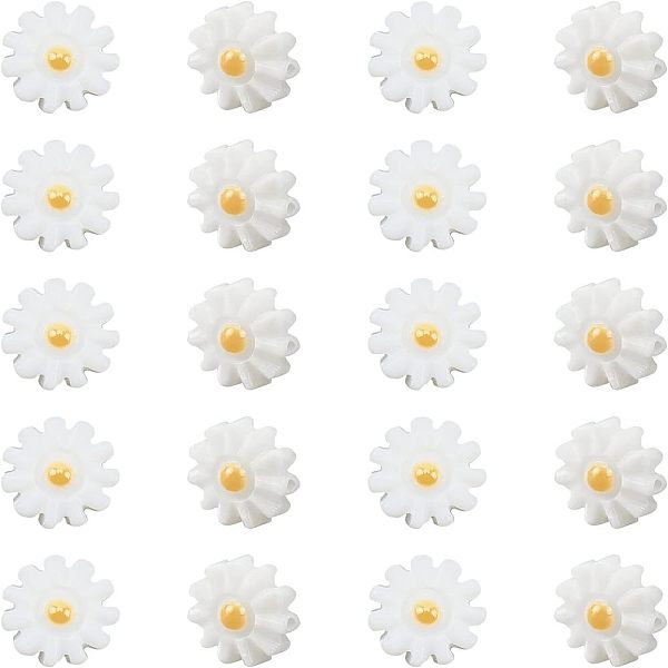 20Pcs Natural Fresh… - image