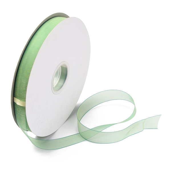 

PandaHall Organza Ribbons, Chiffon Satin Ribbon, for Gift Wrapping, Valentine's Day, Wedding, Birthday Party Decorate, Green, 3/4 inch(20mm)...