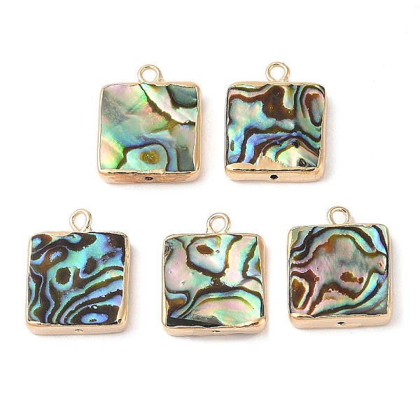 

PandaHall Natural Paua Shell Pendants, Square Charms with Brass Edge, Golden, 18x14.5x3.5mm, Hole: 1.8mm Paua Shell Square