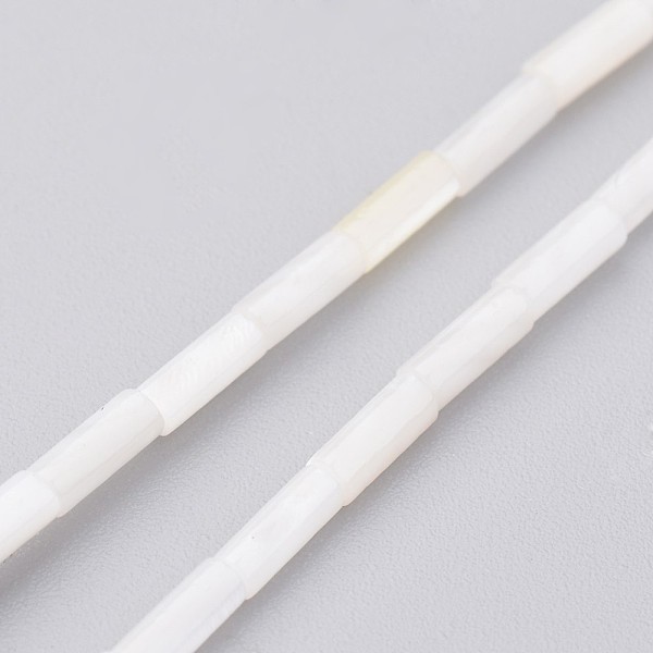 

PandaHall Natural Shell Bead Strands, Dyed, Column, Floral White, 6x2mm, Hole: 0.5mm, about 67pcs/strand, 15.2 inch Other Sea Shell Column