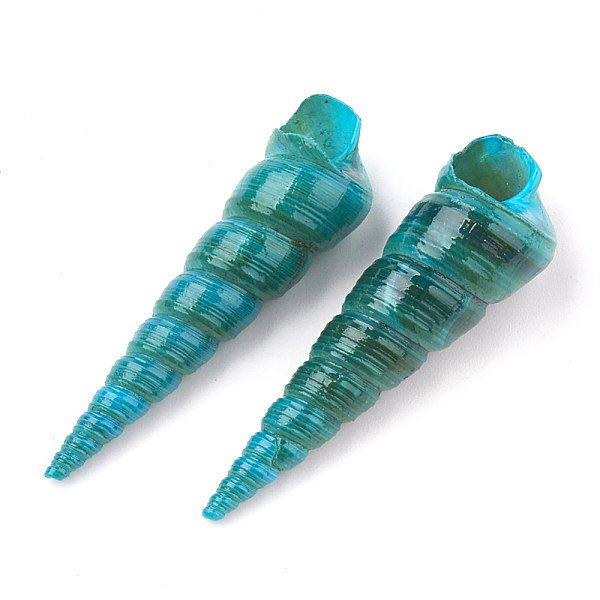 

PandaHall Natural Spiral Shell Beads, No Hole/Undrilled, Spray Painted, Teal, 32~75x9~18x9~18mm Spiral Shell Others Cyan
