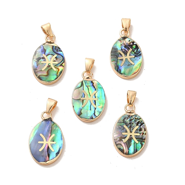 

PandaHall Constellation Natural Paua Shell Pendants, Golden Tone Brass Oval Charms, Pisces, 22x13x3~3.5mm, Hole: 6x3mm Paua Shell Pisces