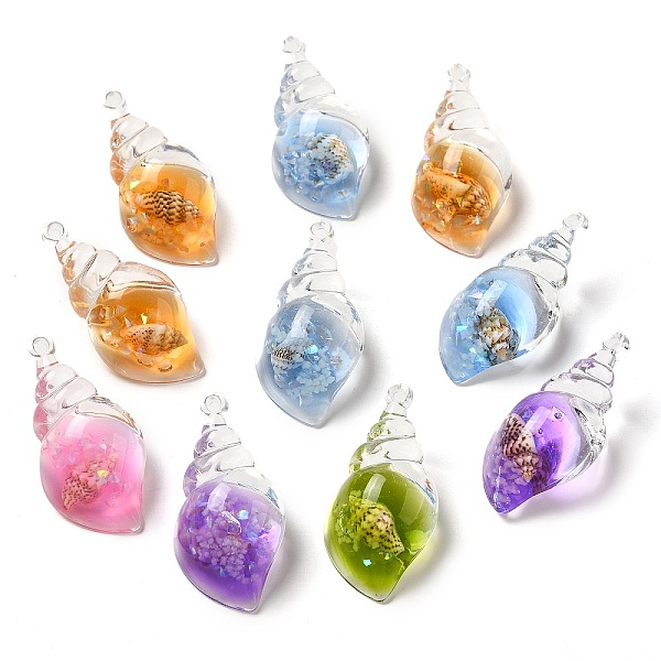 

PandaHall 10Pcs Transparent Resin Conch Shell Pendants, Conch Charms with Natural Shell Inside, Mixed Color, 39x19.5x15mm, Hole: 1.8mm Resin..., Multicolor