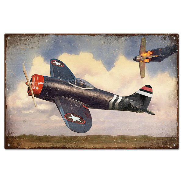 

PandaHall GLOBLELAND Flying Airplane Metal Tin Sign for Garage Signs Garden Signs 12x8in/30x20cm Art Plaque Poster Wall Decor Fighter Plane...