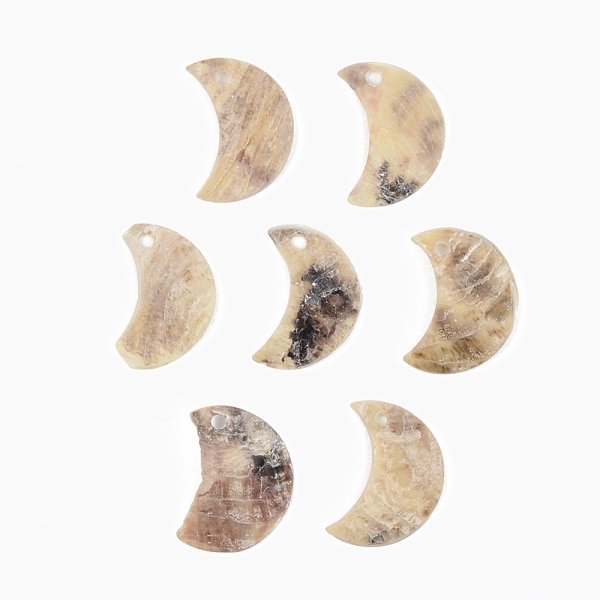 

PandaHall Natural Akoya Shell Pendants, Mother of Pearl Shell Pendants, Moon, Camel, 15x10.5~11.5x1mm, Hole: 1.5mm Akoya Shell Moon Brown