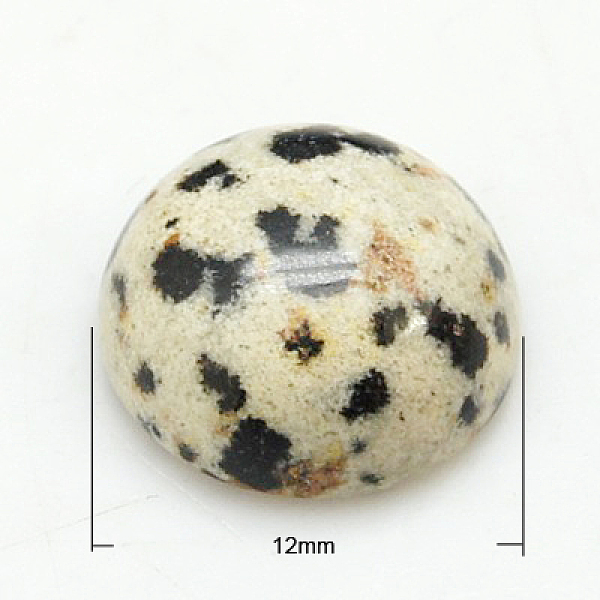 

PandaHall Gemstone Cabochons, Half Round/Dome, Dalmatian Jasper, 12x5mm Dalmatian Jasper Half Round