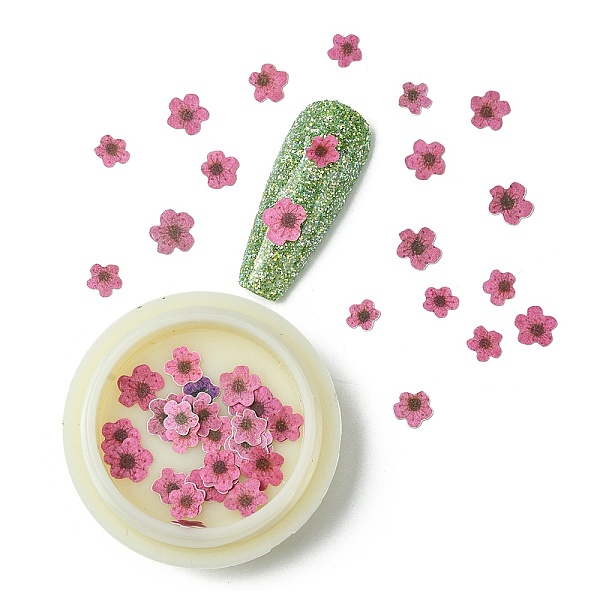 

PandaHall Paper Cabochons, Nail Art Decorations, Flower, Hot Pink, 5~7x5~7x0.1mm, 50pcs/box Paper Flower Pink