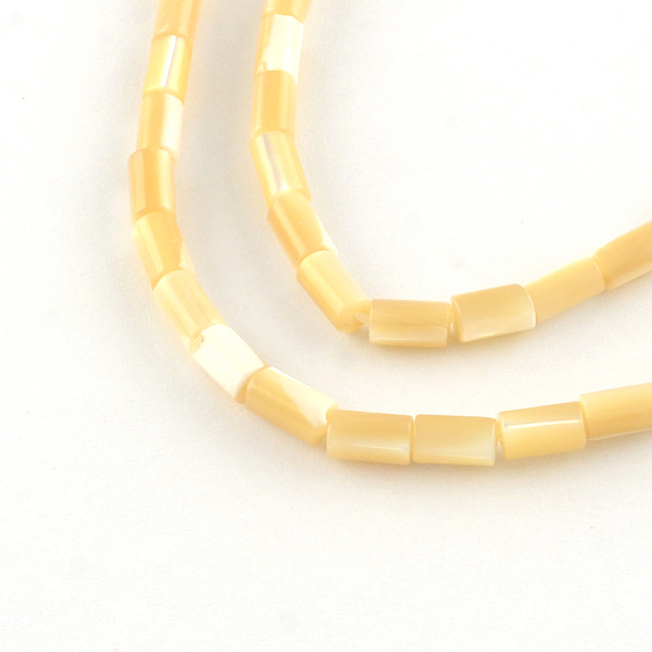 

PandaHall Column Natural Trochid Shell/Trochus Shell Beads Strands, 5~6x3.5mm, Hole: 0.5mm, about 68pcs/strand, 15.7 inch Trochus Shell...