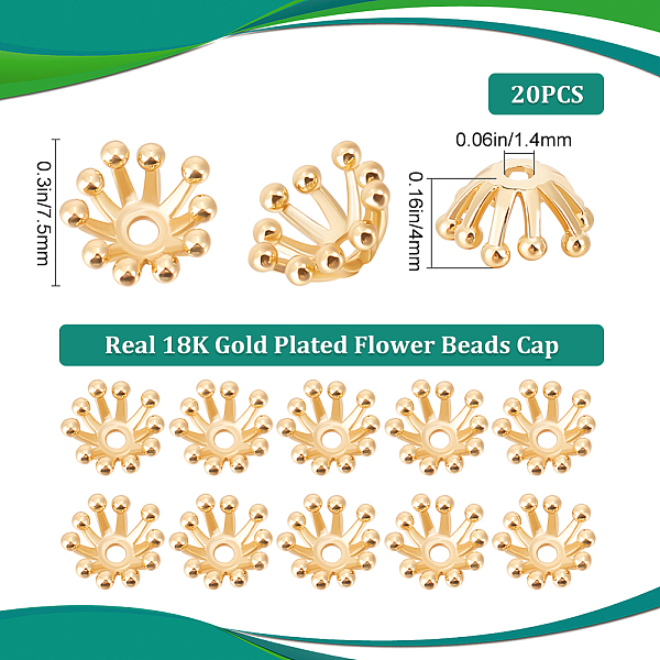 

PandaHall Beebeecraft 20Pcs Brass Multi-Petal Bead Caps, Long-Lasting Plated, Flower, Real 18K Gold Plated, 7.5x4mm, Hole: 1.4mm Brass