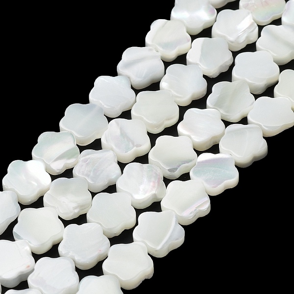 Natural Trochus She… - image