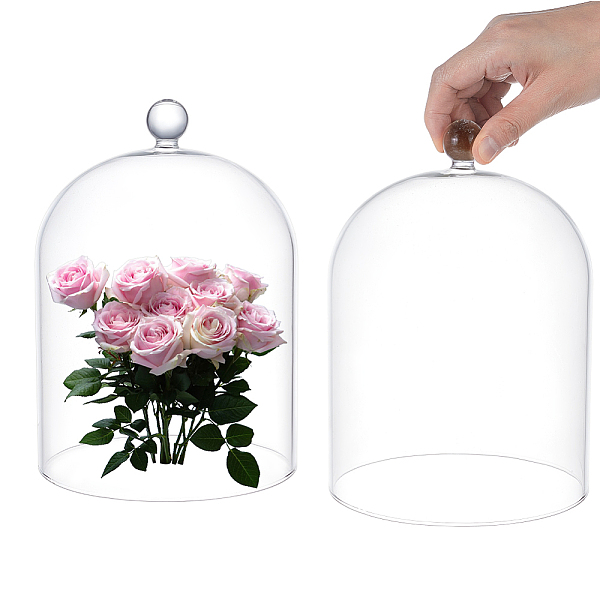 Glass Cloche Dome Covers