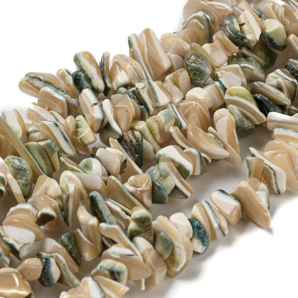Natural Seashell Sh… - image